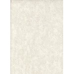 Octagon Duvar Kağıdı 1203-2