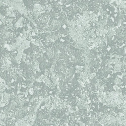 25103-3 Muse Duvar Kağıdı