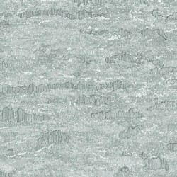 25108 4 Muse Duvar Kagidi 4900 250X250