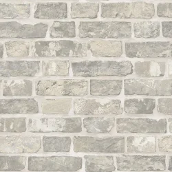 23104-2 Roka Duvar Kağıdı