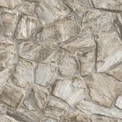 23114-1 Roka Duvar Kağıdı
