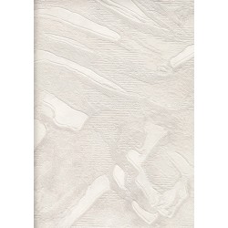 29989 2 Ambiance Duvar Kagidi 4015 250X250