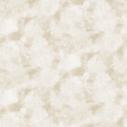 42402-5 Art Elegance Duvar Kağıdı