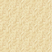 42404-5 Art Elegance Duvar Kağıdı
