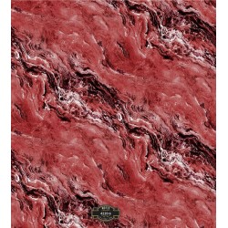 4220-6 Motto Duvar Kağıdı