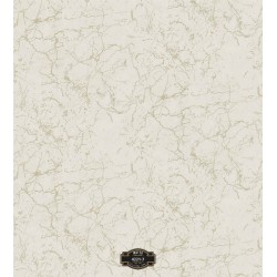 4221-7 Motto Duvar Kağıdı