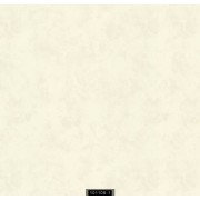 101108-1 İris Duvar Kağıdı