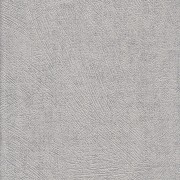 773487-5 Spectrum Duvar Kağıdı