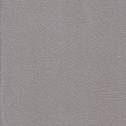 773487-6 Spectrum Duvar Kağıdı
