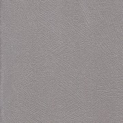 773487-6 Spectrum Duvar Kağıdı