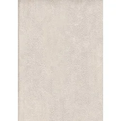 Vesta Duvar Kağıdı