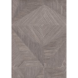 9500 2 Titanium Duvar Kagidi 3911 250X250