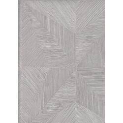 9500 4 Titanium Duvar Kagidi 3913 250X250