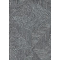 9500 5 Titanium Duvar Kagidi 3914 250X250