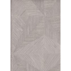 9500 6 Titanium Duvar Kagidi 3915 250X250
