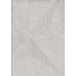 9500 7 Titanium Duvar Kagidi 3916 250X250