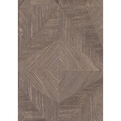 9500 8 Titanium Duvar Kagidi 3917 250X250