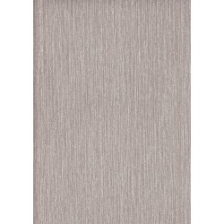 9501 10 Titanium Duvar Kagidi 3927 250X250