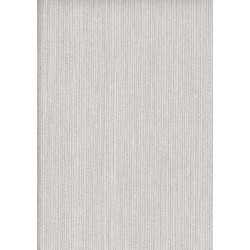 9501 11 Titanium Duvar Kagidi 3928 250X250