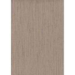 9501 12 Titanium Duvar Kagidi 3929 250X250