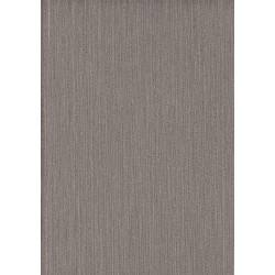 9501 13 Titanium Duvar Kagidi 3930 250X250