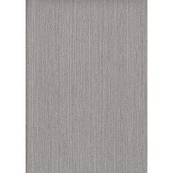 9501-4 Titanium Duvar Kağıdı ile Mekanlarınıza Güçlü Bir Karakter Katın
