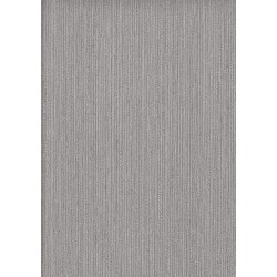 9501 4 Titanium Duvar Kagidi 3921 250X250