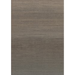 9504 3 Titanium Duvar Kagidi 3943 250X250