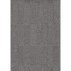 9507 5 Titanium Duvar Kagidi 3959 250X250