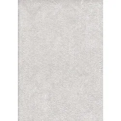 Vertu