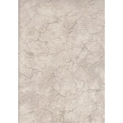 23226-5 Evo Duvar Kağıdı