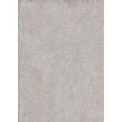 288464-6 Vesta Duvar Kağıdı
