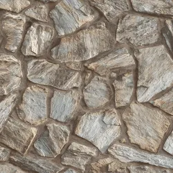 23114-2 Roka Duvar Kağıdı