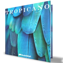 Tropicano Duvar Kağıdı