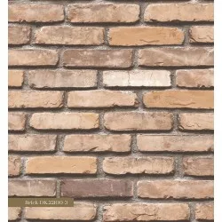 22100-3 Motto Duvar Kağıdı