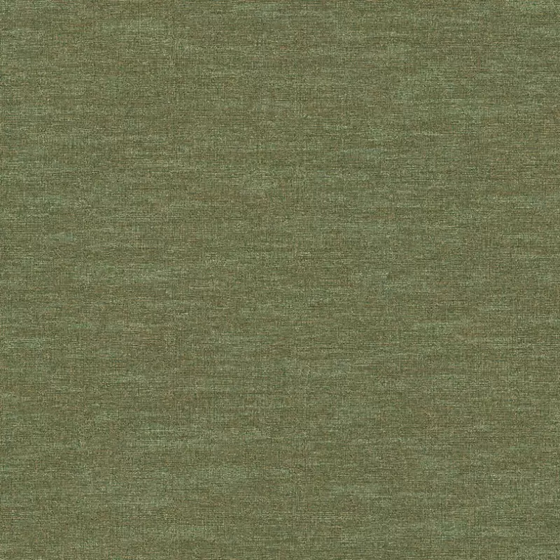 1113-8 Beta Duvar Kağıdı Modeli