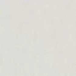 1402-3 Dante Duvar Kağıdı Modeli