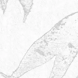 24208-1 Hue Duvar Kağıdı