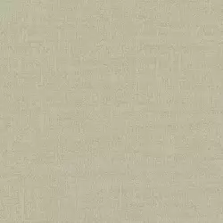 24114-3 İcon Duvar Kağıdı