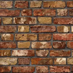 23104-4 Roka Duvar Kağıdı