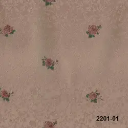Vitoria Duvar Kağıdı