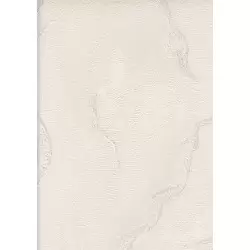 30200-1 Ambiance Duvar Kağıdı