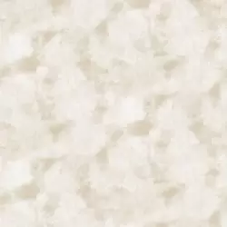 42402-5 Art Elegance Duvar Kağıdı