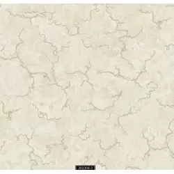 202204-2 Kahkashan Duvar Kağıdı ile Zarafet ve Estetiği Buluşturun