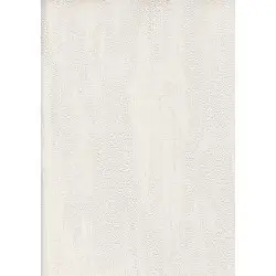 Vesta Duvar Kağıdı