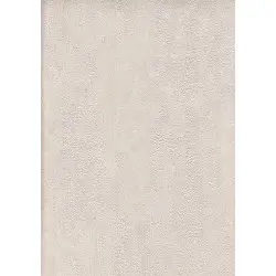 Vesta Duvar Kağıdı