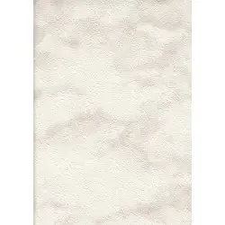 Vesta Duvar Kağıdı