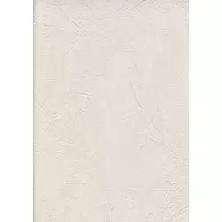 288464-2 Vesta Duvar Kağıdı – Modern Şıklığı Mekanlarınıza Taşıyın