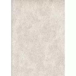 9004-7 Helium Duvar Kağıdı