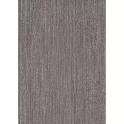 9501-2 Titanium Duvar Kağıdı ile Mekanlarınıza Güçlü Bir Karakter Katın